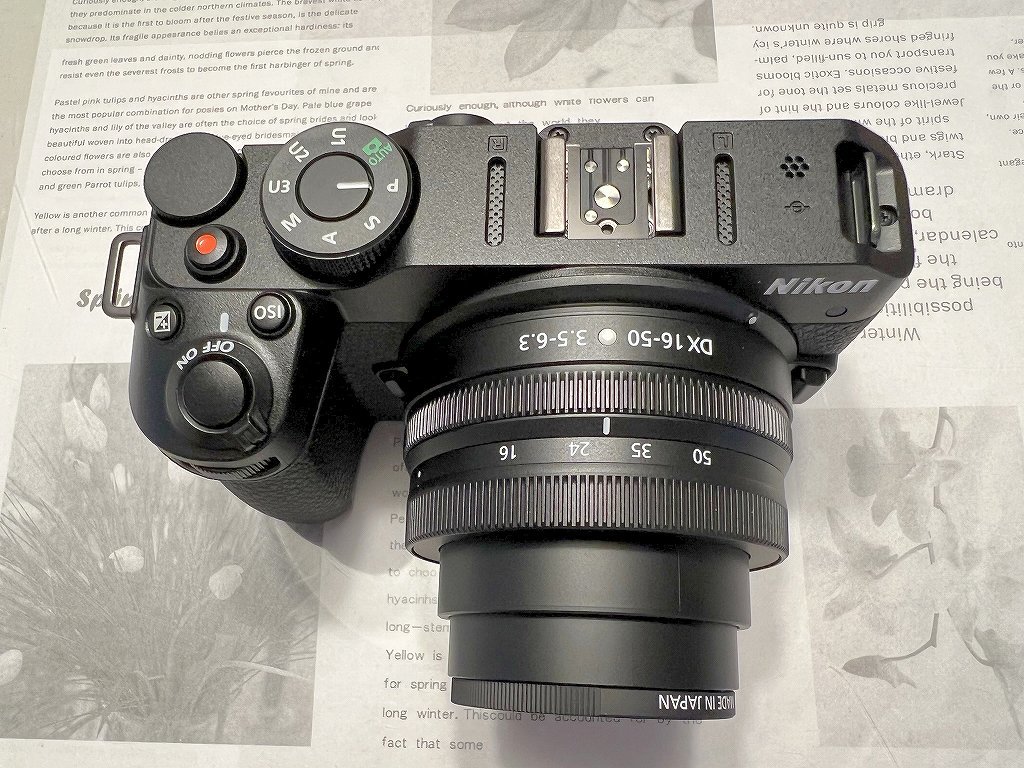 Nikon Z 30 #2_b0418600_00011316.jpg