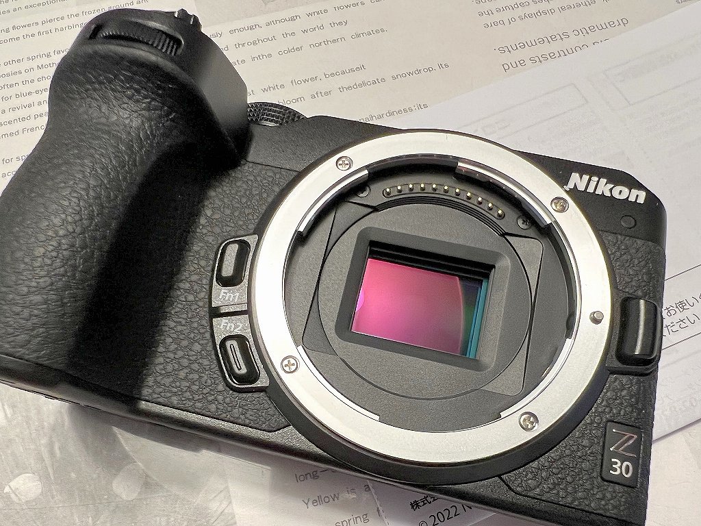Nikon Z 30 #2 : MusicArena Nikon Z 30 #2 : MusicArena