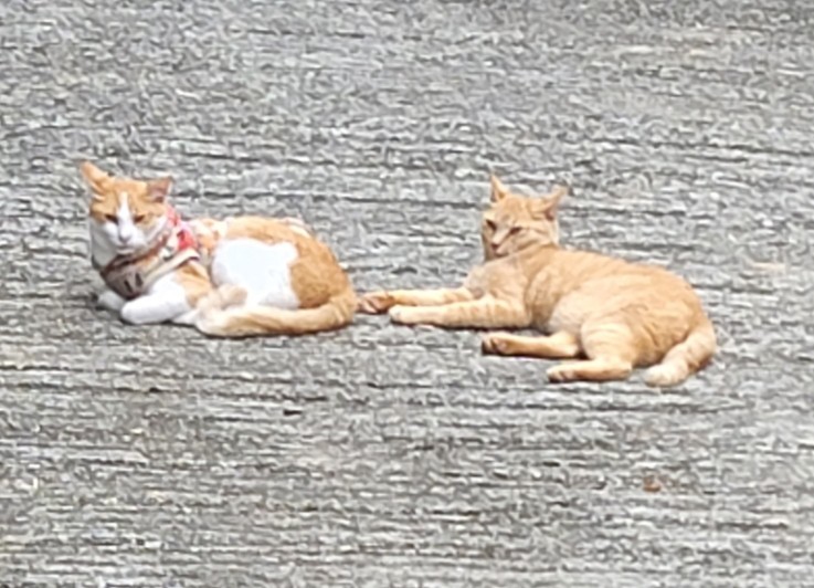 お疲れ様でした~_e0145441_22163695.jpg