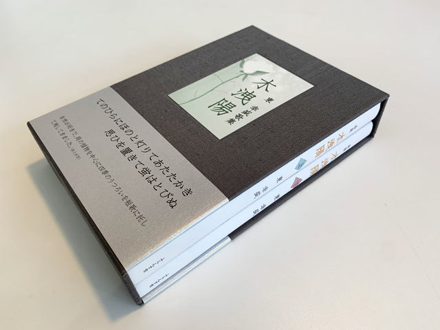 頭の中は、いつも動植物のありようで過ぎてきました。。。_f0071480_16030782.jpg