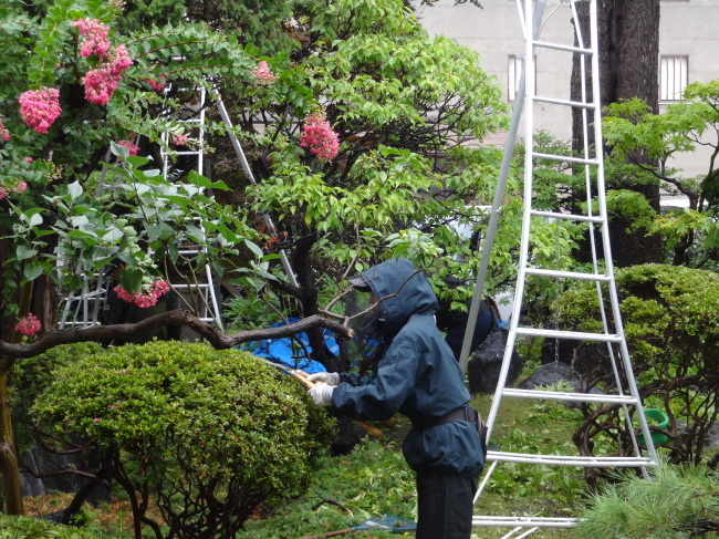 大雨の中の庭師_c0141223_12090260.jpg