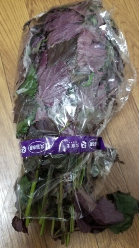 今夜はラジオです♪ 「松れい子withあやのくるみ笑顔な時間」_f0165126_18404393.jpg