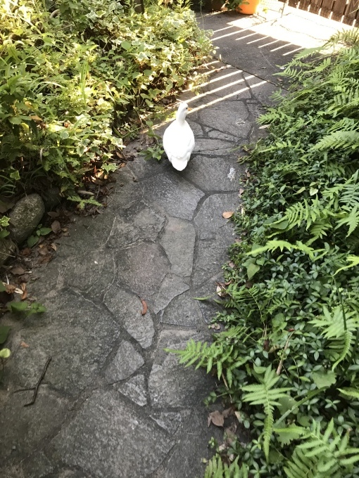 アヒルが3羽と髪を切ったはなし_d0101846_19460439.jpeg