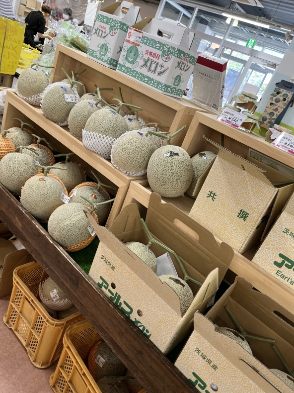 大洗まいわい市場　メロン入荷してます。_a0283448_11515296.jpeg