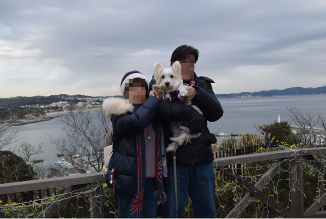 ♪ ダニエル 江ノ島に行ってきたよ~(#^.^#)♪_b0242873_00142515.png