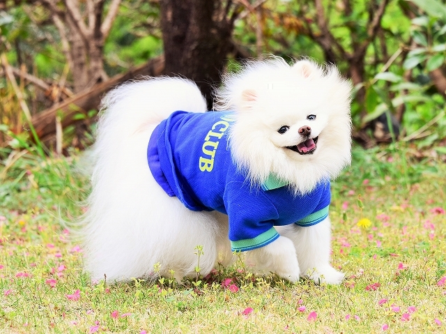 服喪_d0360206_19522370.jpg