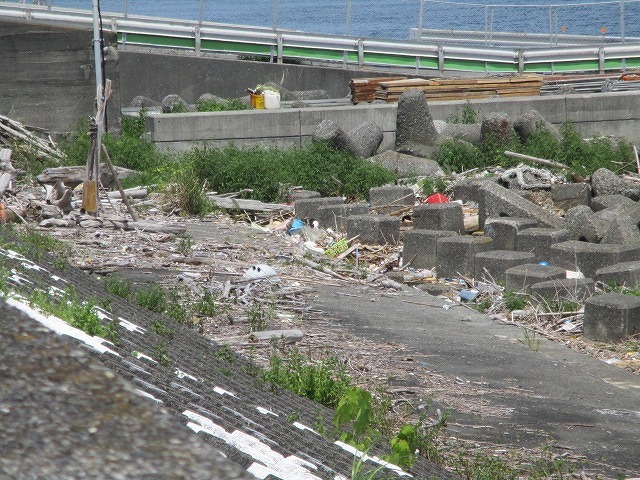 改めてテトラポッドの大きさに驚いた! 富士マウントライオンズクラブの富士山ゼロメートル地点清掃_f0141310_09072610.jpg