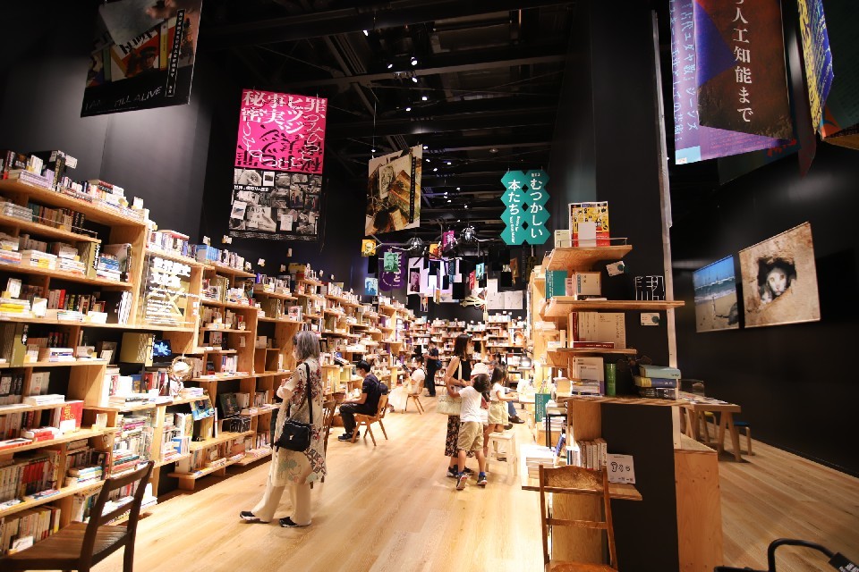 本棚劇場と岩合光昭「こねこ展」☆角川武蔵野ミュージアム_e0415943_09514581.jpg