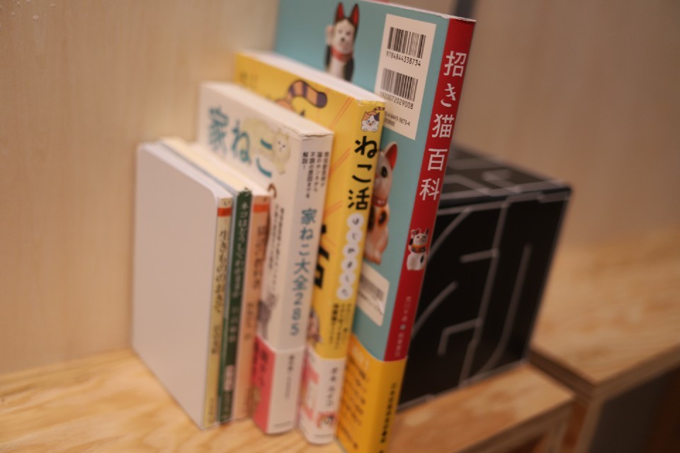 本棚劇場と岩合光昭「こねこ展」☆角川武蔵野ミュージアム_e0415943_09514622.jpg