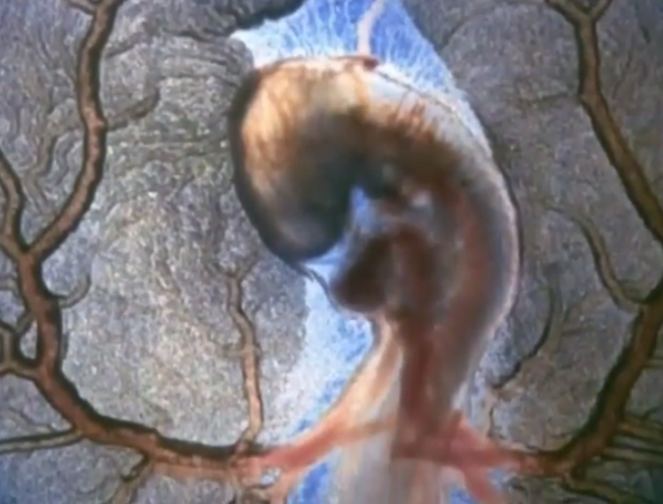 何故、私が「NPO法人科学映像館」を・・・_b0115553_08340185.png