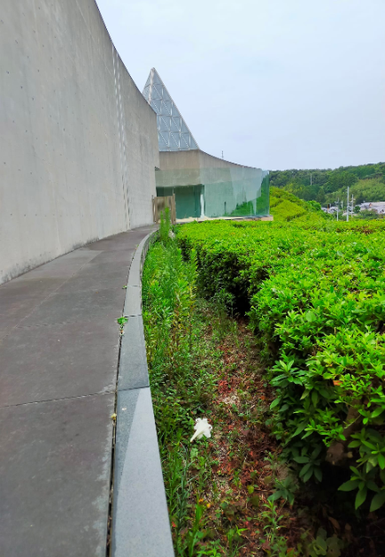 ユリの花が咲いていました！_d0166862_10450921.png