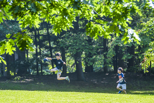 涼しい夏_f0143469_17241369.jpg