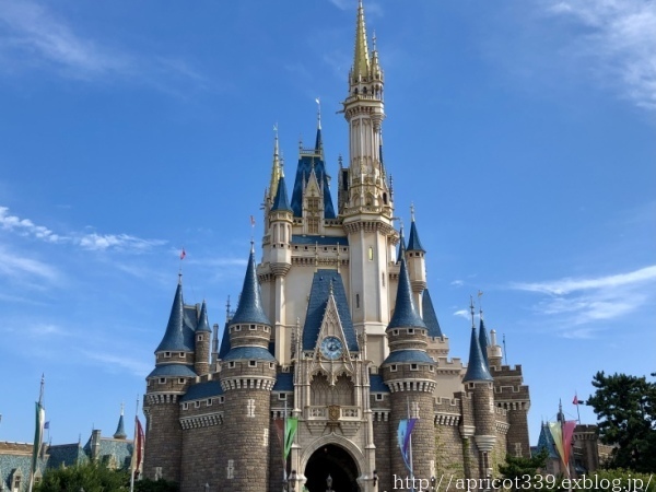 2022年夏 娘と二人で東京ディズニーリゾートへ 1日目_c0293787_11093468.jpeg
