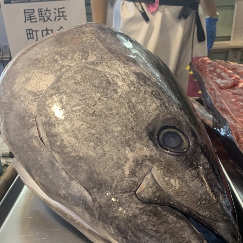 お盆休み じつは毎年とくにありません カレンダー通り_a0134394_05360322.jpeg