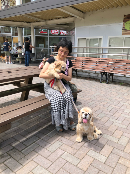 子犬さんの初遊歩道さんぽ_b0067012_15094261.jpg