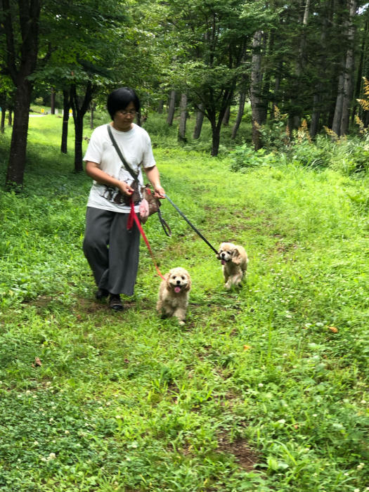 子犬さんの初遊歩道さんぽ_b0067012_15144253.jpg