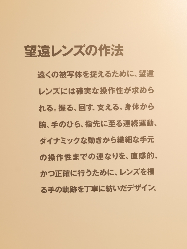 哲学とデザイン SIGMA_f0050534_17014864.jpg