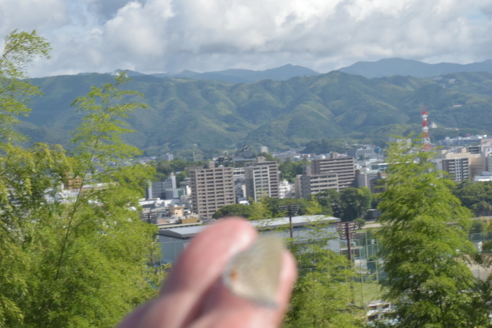 クロマダラソテツシジミ　8月6日～_d0254540_13175535.jpg