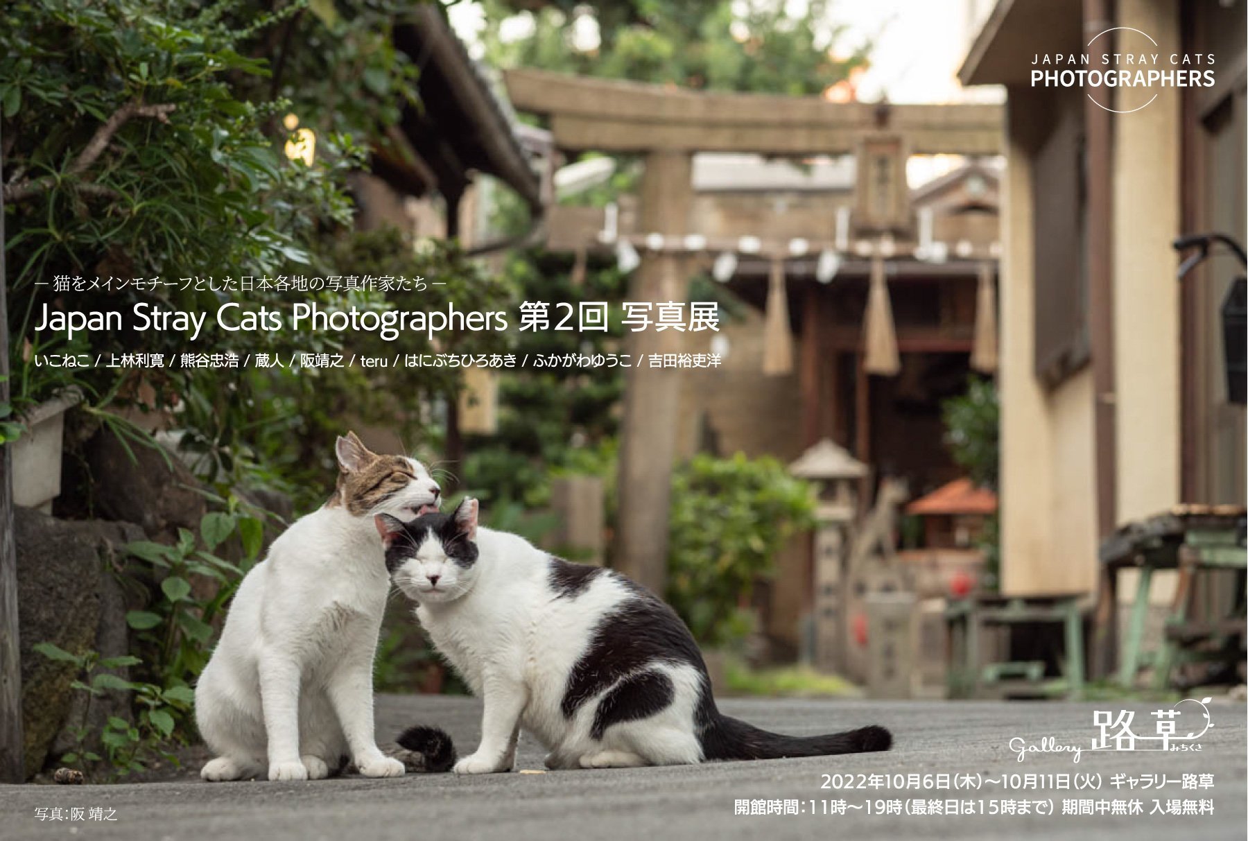 千駄木・日暮里＆池袋　ねこ写真展＆オリジナルグッズ合同企画展_c0194541_01174261.jpg