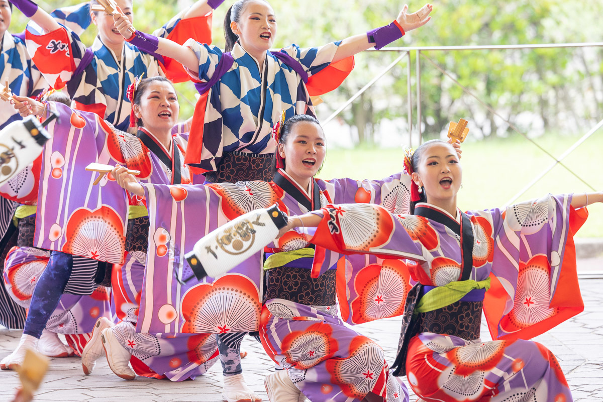 讃岐よさこい in 瀬戸大橋記念公園 さぬき舞人 その2_a0077663_17425947.jpg