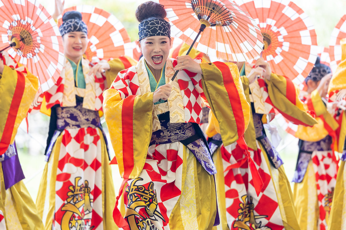 讃岐よさこい in 瀬戸大橋記念公園 浜っ鼓★弾★DAN その2_a0077663_18135605.jpg