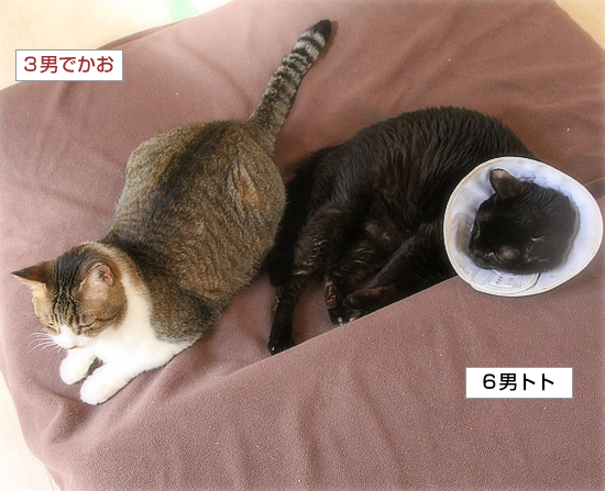 男のおしり_a0389088_17344321.jpg
