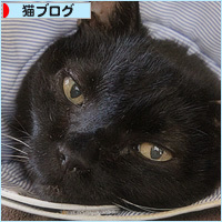 男のおしり_a0389088_17344403.jpg