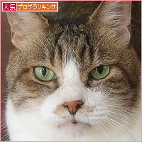 男のおしり_a0389088_17344474.jpg