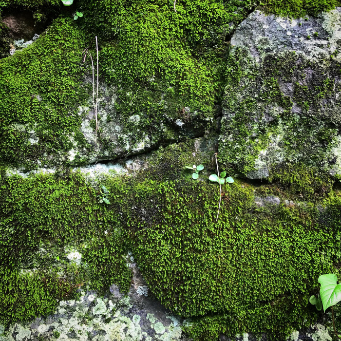 walking　_e0130546_16582191.jpg