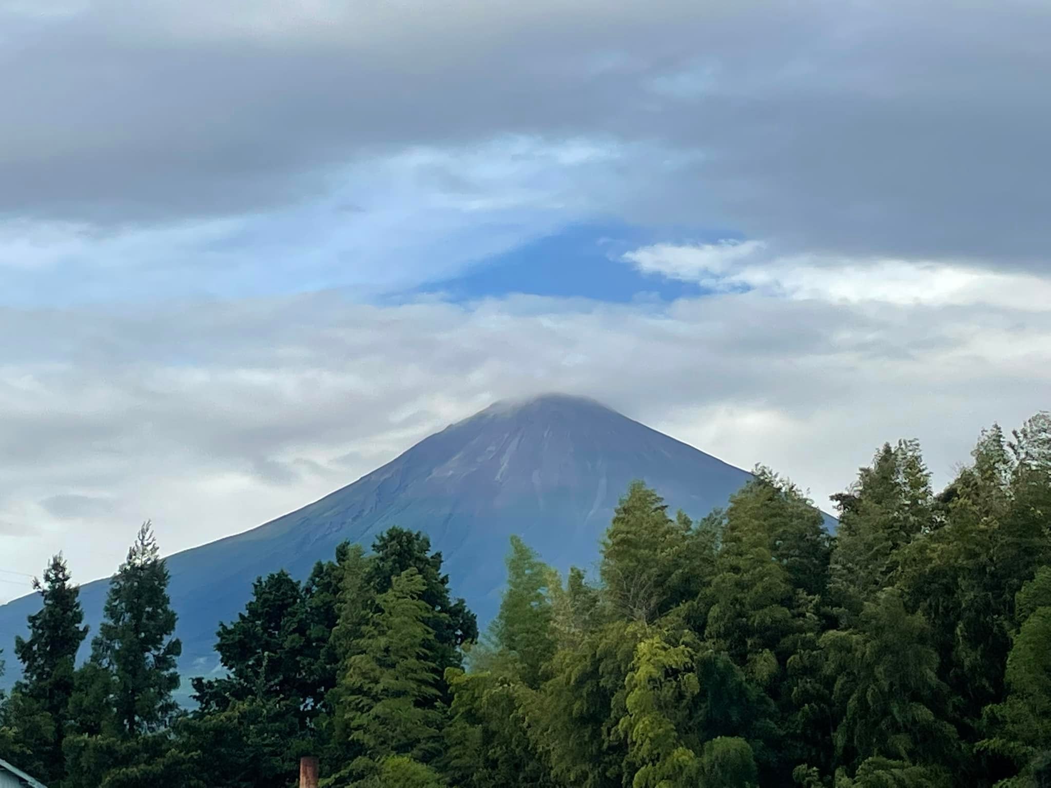 霊峰富士と大石寺　_f0301354_15520844.jpg