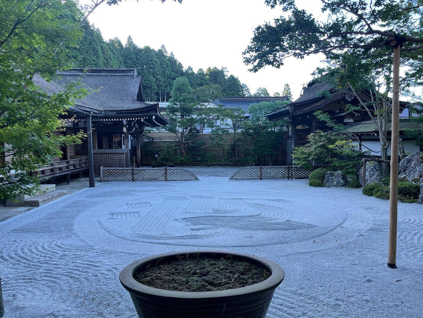 高野山二日目、すごくいい時間を過ごしている 2022.7.28_b0002156_18064265.jpg