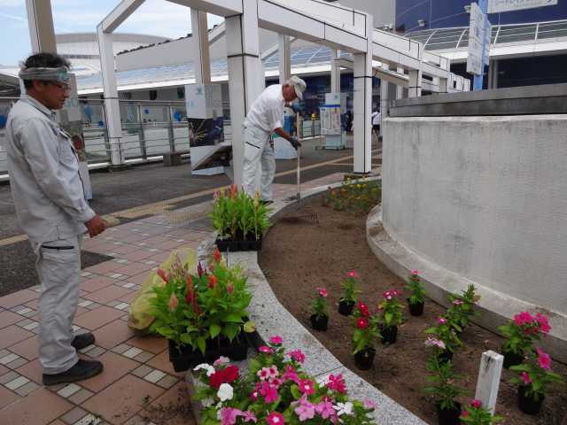 名古屋港水族館前花壇の植栽R4.8.8_d0338682_16274539.jpg