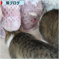 お盆の恒例_a0389088_18033268.jpg