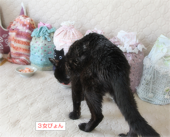 お盆の恒例_a0389088_18033285.jpg