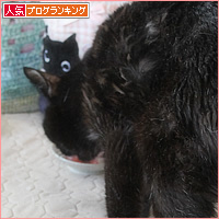 お盆の恒例_a0389088_18033291.jpg