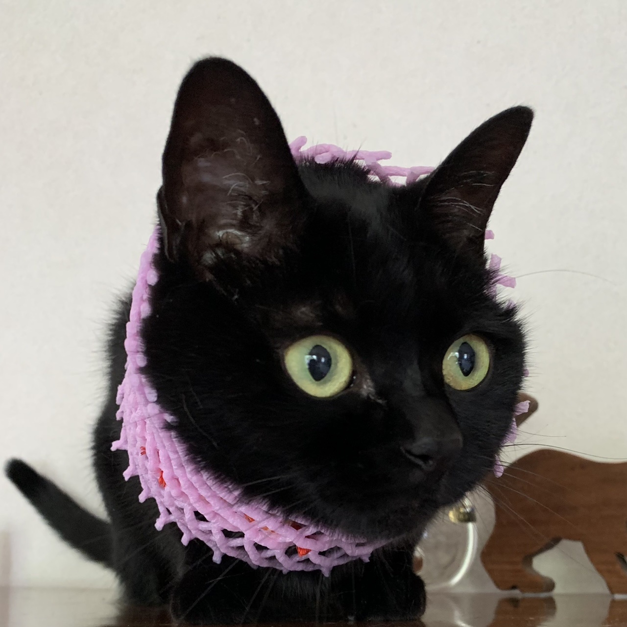 お約束の_e0358096_18544608.jpeg