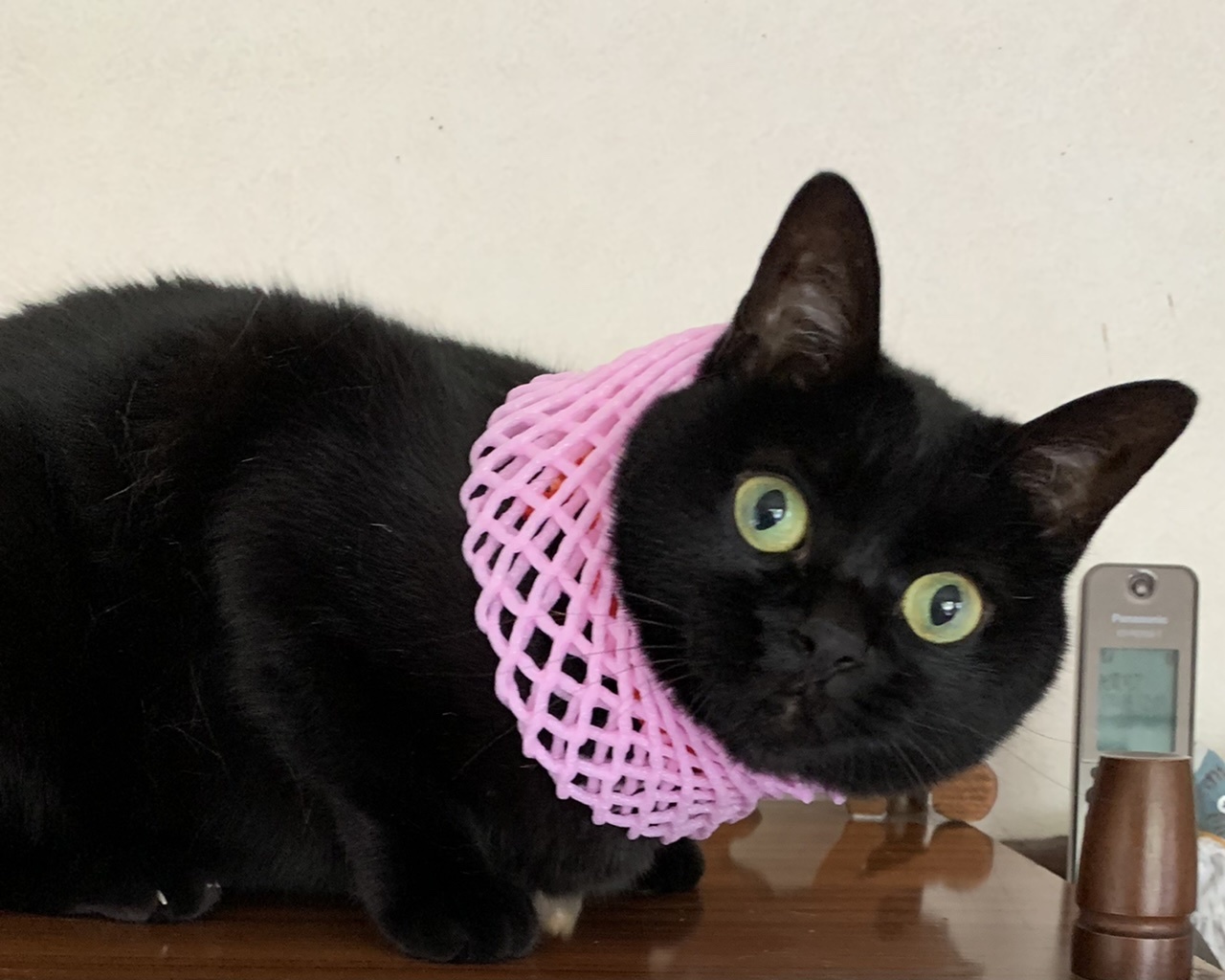 お約束の_e0358096_18550089.jpeg
