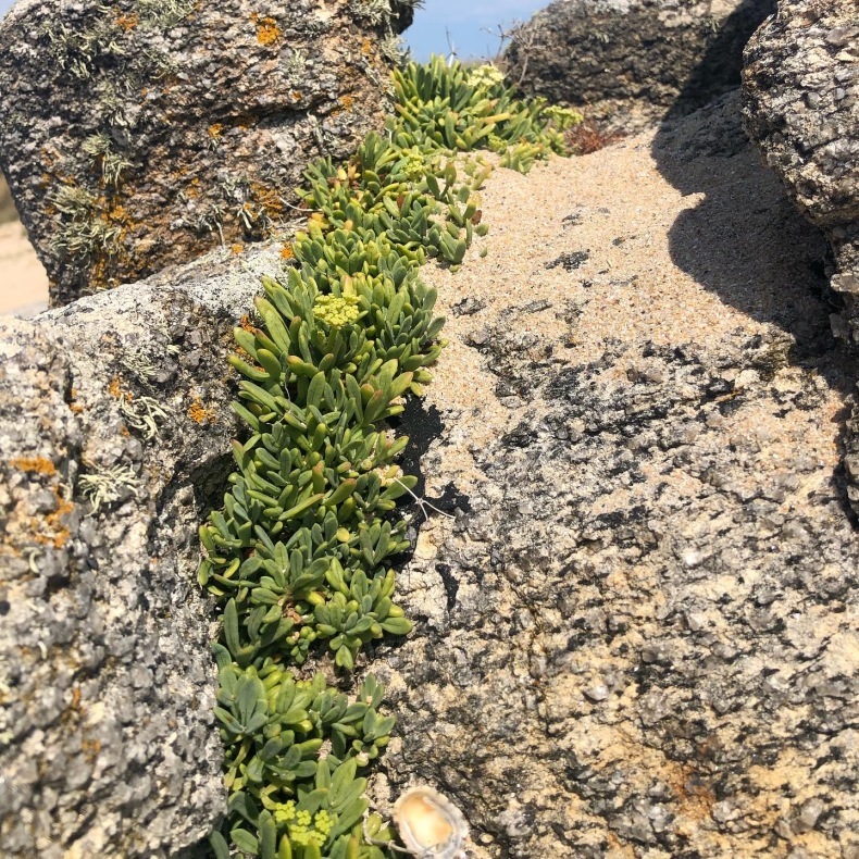 ユー島のビーチいろいろ_a0231632_03225237.jpeg