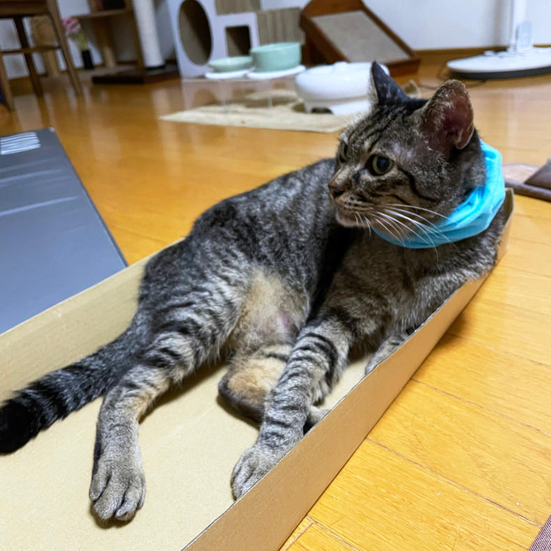 ほったらかしてたら!_d0355333_21291791.jpg