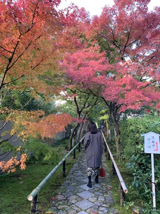 京都グルメタクシー　おいしい京都　〜2019年11月京都の旅③_a0147173_23341519.jpeg