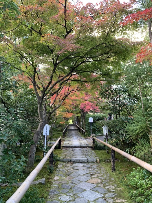 京都グルメタクシー　おいしい京都　〜2019年11月京都の旅③_a0147173_23411270.jpeg