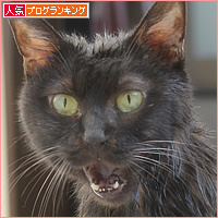 交通事故でも、生きてる!_a0389088_17414712.jpg