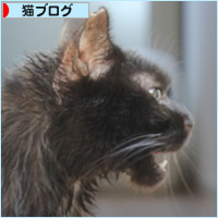 交通事故でも、生きてる!_a0389088_17414734.jpg