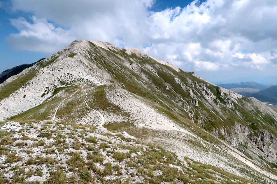 天近き岩山迫る峰にエーデルワイス_f0234936_00024083.jpg