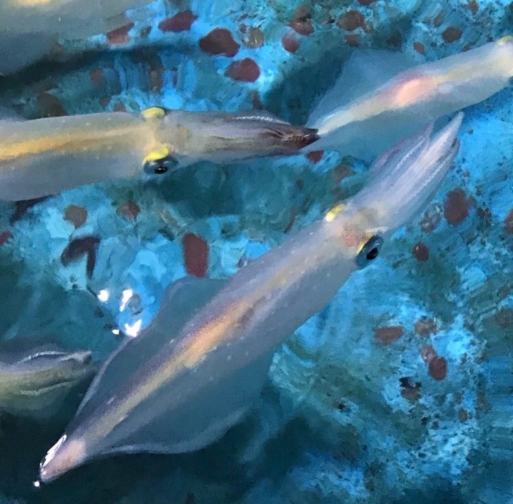 最近のぼく_e0130546_11492576.jpg