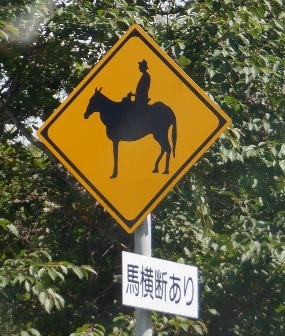 鹿注意標識は?_e0077899_06570092.jpg