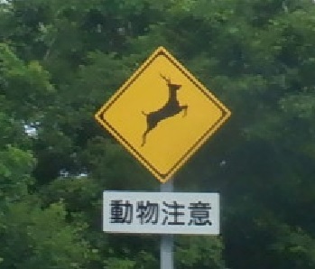 鹿注意標識は?_e0077899_07042338.jpg