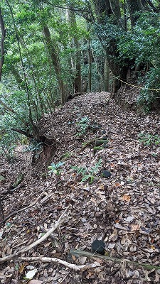 雁回山(阿高登山口）_f0193521_07305971.jpg