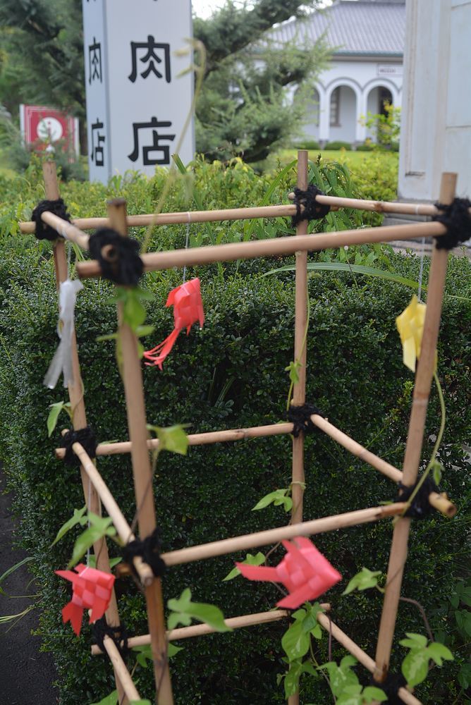 僕の金魚園_e0373930_06440280.jpg