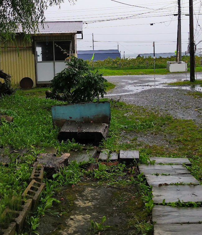 大雨のお盆が過ぎました_b0059684_15505854.jpg